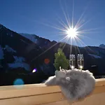 Spitaler Apartament *